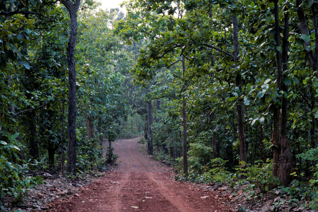 west bengal tourism jhargram package